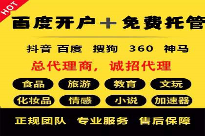 SEM广告投放策略：成功案例解析
