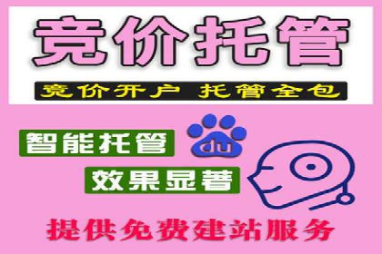 某电商平台的竞价托管SEM实践